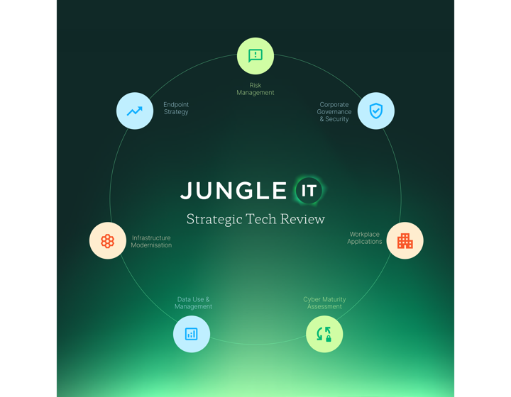 C14879 Jungle IT Strategic Tech Review Infographic VISUALS NUMBER 3