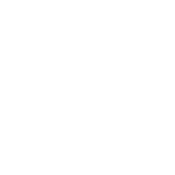 NFON Logo White 500Px
