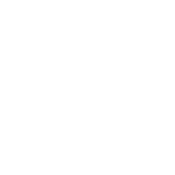 Lenovo Logo White 500Px